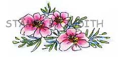 H-221 Wildflowers